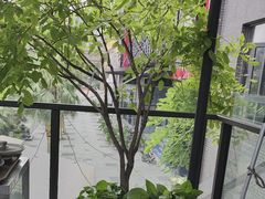 -渝信川菜(南滨店)