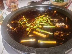 -费明中罗非鱼(大石坝店)