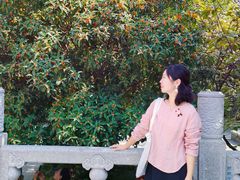-西安大兴善寺