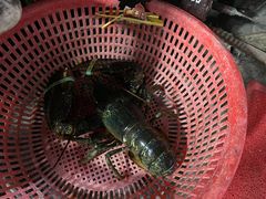 -大洋海鲜居·海鲜特色菜(墟沟海鲜美食城店)