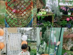 -浙江农林大学(东湖校区)