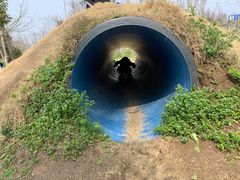 -前小桔亲子创意农场·草莓采摘·露营烧烤