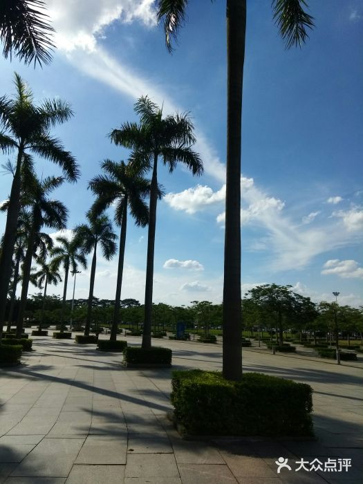 广东科学中心景点图片