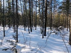 -峡谷浮石林景区