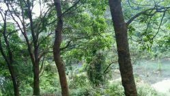 点击看大图 -GO VISION 动视觉婚纱摄影高级定制