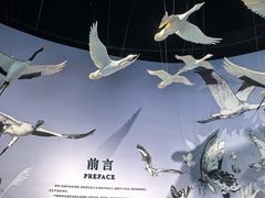 -中国湿地博物馆