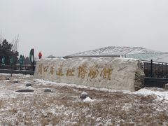 -北京周口店北京人遗址博物馆