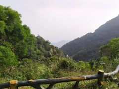 -梧桐山风景名胜区