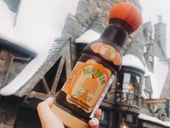 -哈利波特魔法世界