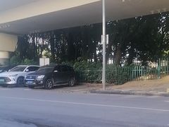 -甘家界牌柠檬鸭(青山店)