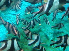 -海合安青岛极地海洋公园