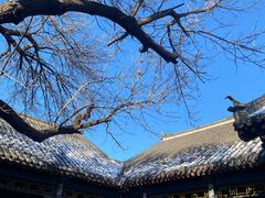 -张学良旧居陈列馆