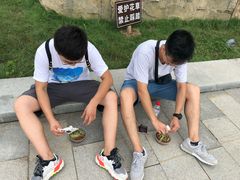 -少华山国家森林公园