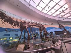 -陕西自然博物馆