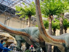 -国家自然博物馆