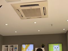 -关爱宠物医院·猫科中心·消化科(滨湖万达分院)