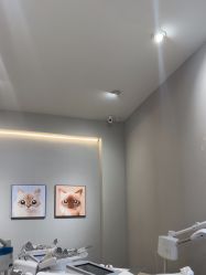 -洗脸猫·洗脸吧