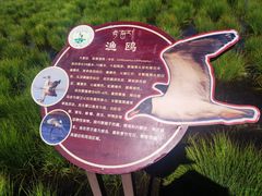 -花湖生态旅游区