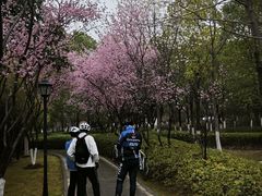 -月湖风景区