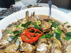 -品味居·首店·大连鲜活海鲜大连菜(东港店)