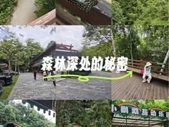 -野象谷景区
