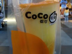 -CoCo都可(新街店)
