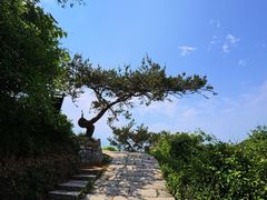-金龙寺国家森林公园
