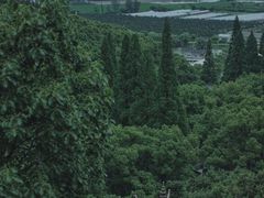 -宁波市保国寺古建筑博物馆