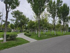 -商丘市人民公园