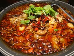 传统毛血旺-麻六记(虹桥南丰城)