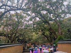 -普陀山风景名胜区-法雨禅寺
