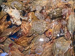 -岳各庄批发市场(西四环中路店)