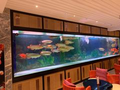 -弘安丽水温泉酒店