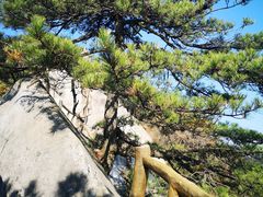 -罗田薄刀峰风景区