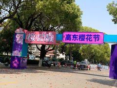 -高东镇樱花园