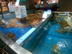 -盒马鲜生(悦峰店)