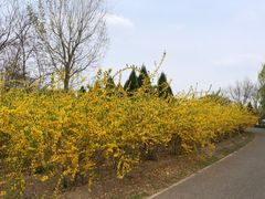 -永定河休闲森林公园