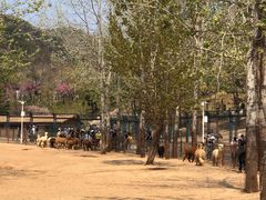 -大连森林动物园