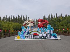 -黄海国家森林公园