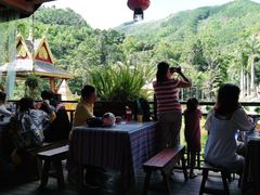 -西双版纳原始森林公园
