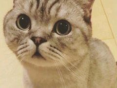 -达爱动物医院·犬猫分区·CT·复杂眼科(远洋山水分院)