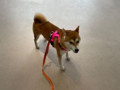 -立德动物医院·24小时中心(番禺区院区)