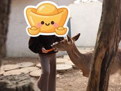 -观唐（国际）度假村温泉