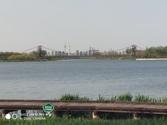-西青郊野公园