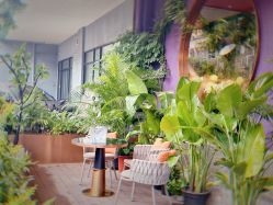 -花隐·美芙炫海菲秀皮肤管理中心