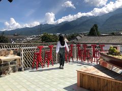 -喵屿·大理花园猫咖