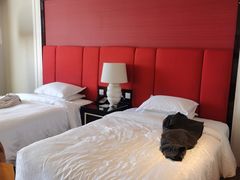 -澳门喜来登大酒店