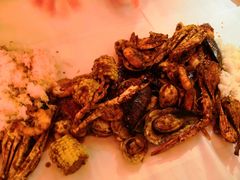 -Dampa Seafood Grill - Dubai