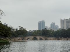 -荔湾湖公园