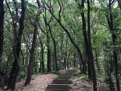 -九曜山